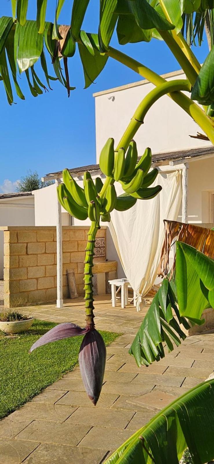 Tenuta Puloni Otranto Dış mekan fotoğraf